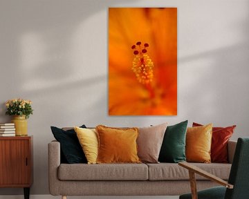 The Heart of the Hibiscus by Laura Krol