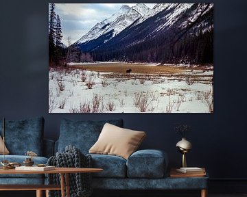 Jasper National Park van Jochem van Schaick
