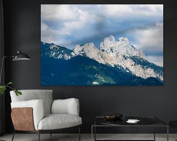 Uitzicht vanaf het Tannenheimer Tal naar de Gehrenspitze in Oostenrijk van Rico Ködder