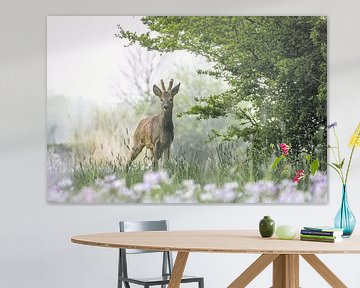 Reebok in green with cuckoo flowers in the foreground. by Gerard Boerkamp