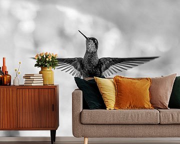Hummingbird in Flight Frozen in Black-White Silence by Femke Ketelaar