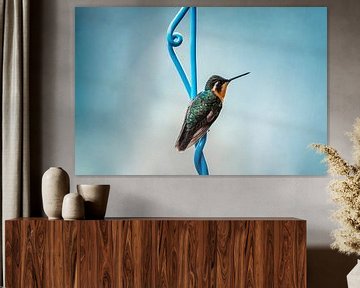 Kolibri auf blauer Spirale gegen sanftes Himmelblau von Femke Ketelaar