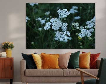 White flowers