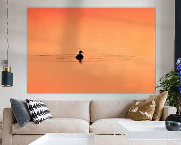 Silence on the lake by Sharon Dijkhuizen