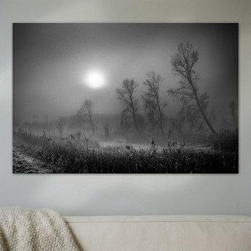 sfeervol mist landschap