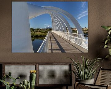 Te Rewa Rewa Bridge & Mount Taranaki van Franksfotoforum