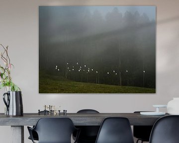 Cattle egrets in the morningsun by Willemijn Wolthaus