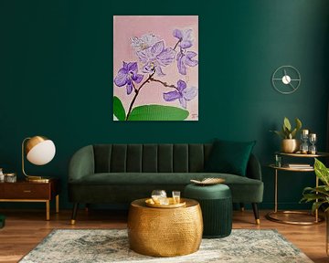 Orchidee