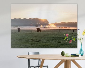 ochtendrust met Schotse hooglanders van Ria van den Broeke