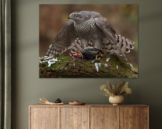 Aperçu de la chambre