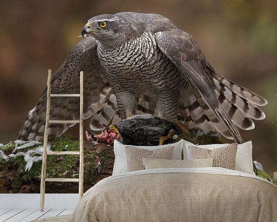 Aperçu de la chambre