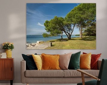 Côte de l'île de Veliki Brijun sur Heiko Kueverling
