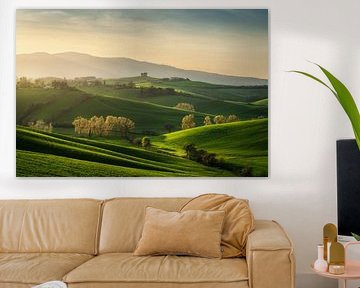 Toscaans glooiend heuvellandschap bij zonsondergang, Orciano Pisano voorjaarslandschap van Stefano Orazzini