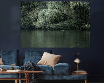 Biesbosch landscape by Liliane Jaspers