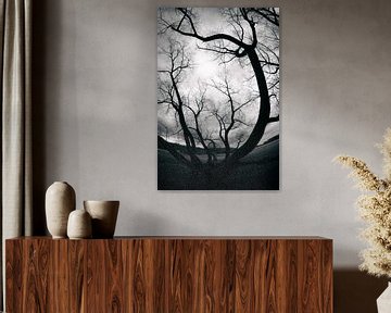 Twisted Stillness by Dorit Fuhg
