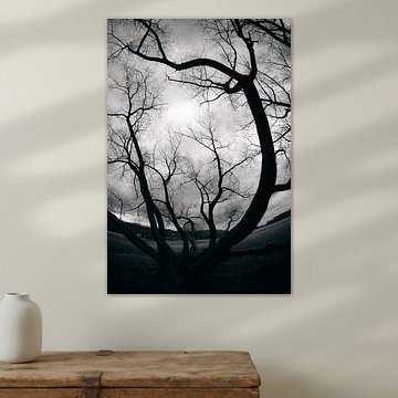 Twisted Stillness by Dorit Fuhg