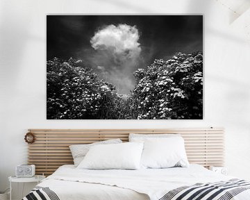 Eine aufsteigende Wolke
