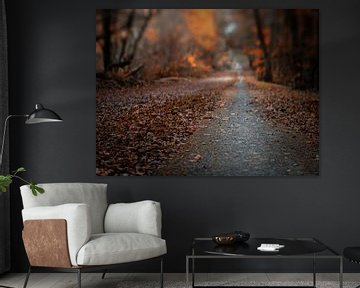 Autumn road van Lex Schulte