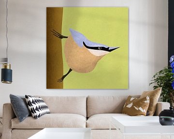 Nuthatch
