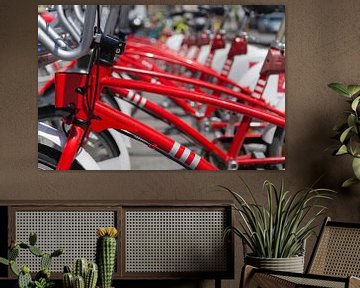 Deelfietsen van Franksfotoforum