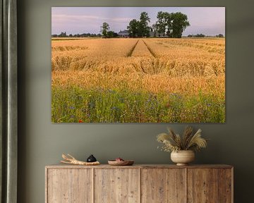 Het Groninger landschap bij Thesinge van Henk Meijer Photography