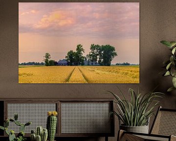 Het Groninger landschap bij Thesinge van Henk Meijer Photography
