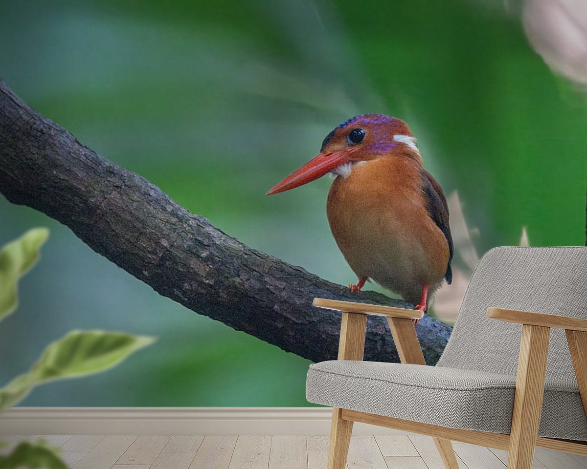 Raumvorschau