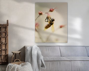 Honey bee on a plant by Jan