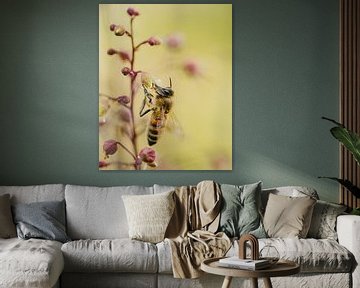 Honey bee on a plant by Jan