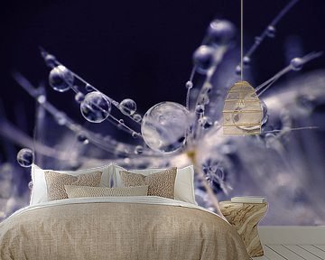 Funkelndes Blau (Löwenzahnflaum mit Tropfen in Blau) von Caroline Lichthart