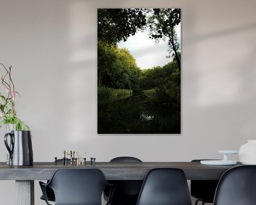 Amsterdam forest