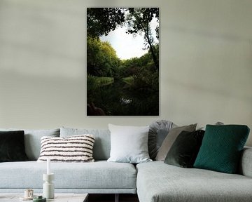 Amsterdamse bos van Betul_Ruveyda