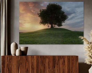 Grote eik met autobandschommel op een grasveld in de heuvels van Besa Art
