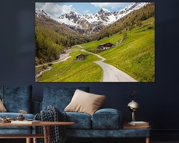Bergmeister Alm in het Mühlwalder dal bij Lappach, Tauferer Ahrntal, Zuid-Tirol van Christian Müringer