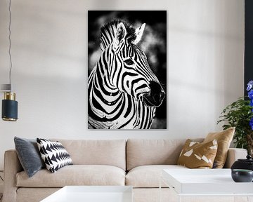 Zèbre sur TCWILDIMAGES