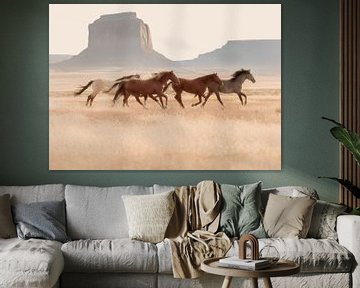 Southwest Horses