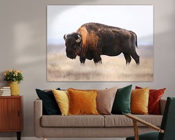 Bison Whisper