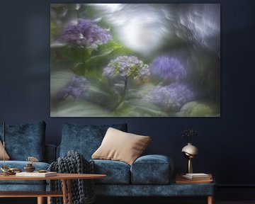 Hortentia dream by Carolina Roepers