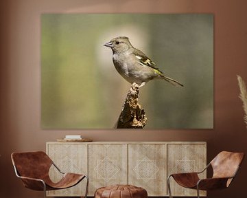 tick in full-colour by Stobbe; stiltegrafie