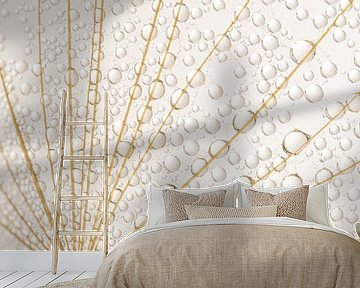 Simple rural serenity: Caught in a web by Marjolijn van den Berg