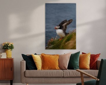 Porträt eines Papageientauchers zwischen Blumen auf Lunga, Schottland, mit ausgebreiteten Vögeln von Kirsten - Where She Goes