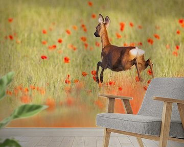 Deer in a poppy field