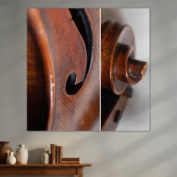 Violon Combi 02 | Image