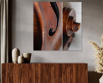 Violon Combi 02 | Image sur Yvonne Warmerdam | Made to resonate