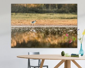Vogel in Gouden Ochtend Stilte aan de Waterlijn van Femke Ketelaar