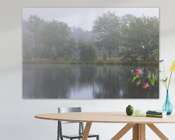 Dwingelderveld - Drenthe (Nederland)