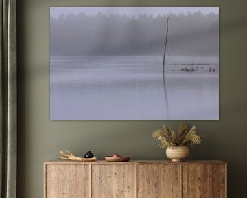 Dwingelderveld - Drenthe (Netherlands) by Marcel Kerdijk