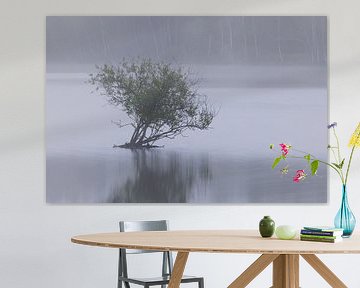 Dwingelderveld - Drenthe (Netherlands) by Marcel Kerdijk