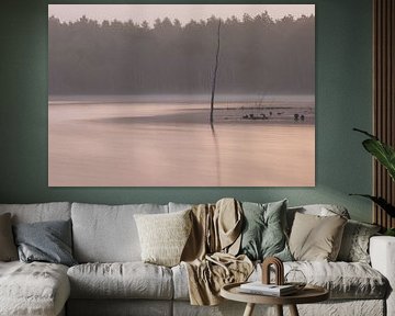 Dwingelderveld - Drenthe (Netherlands) by Marcel Kerdijk