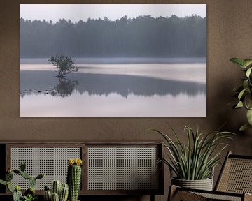 Dwingelderveld - Drenthe (Netherlands) by Marcel Kerdijk